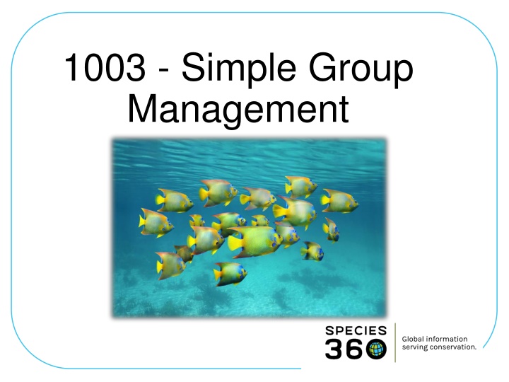 1003 simple group management