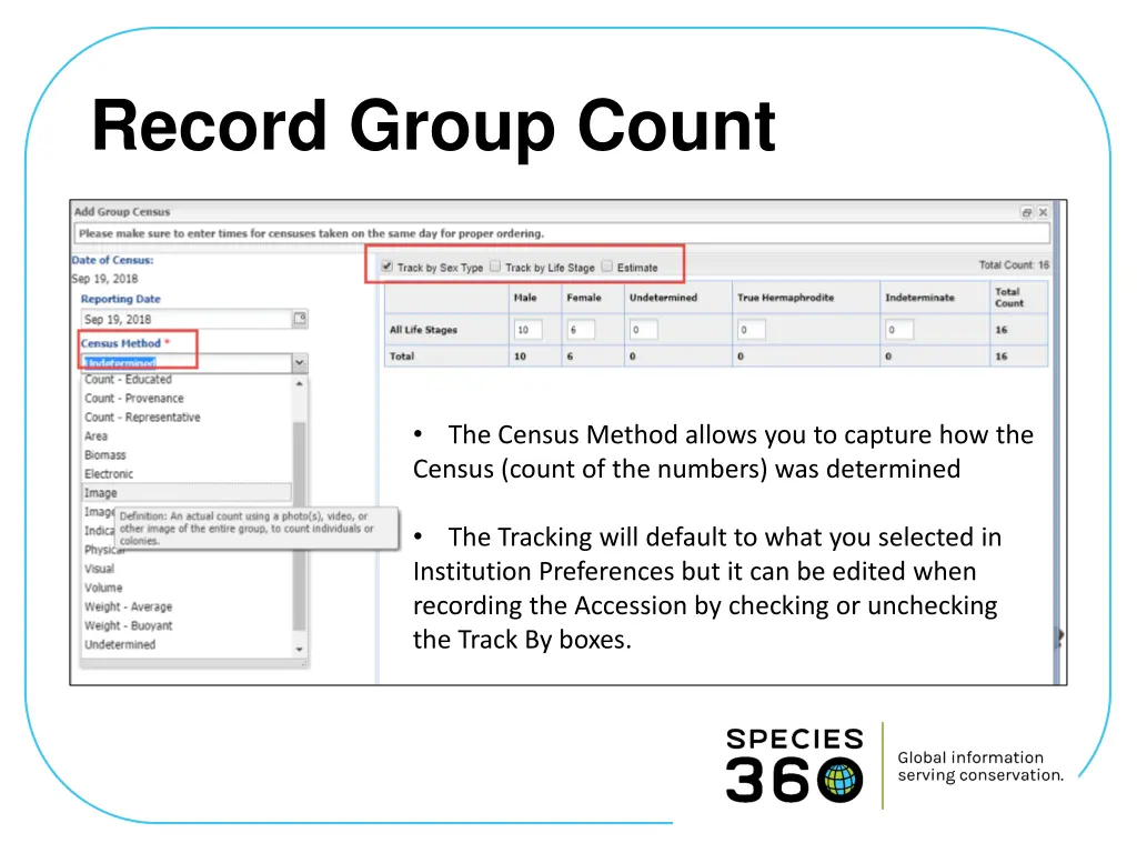 record group count