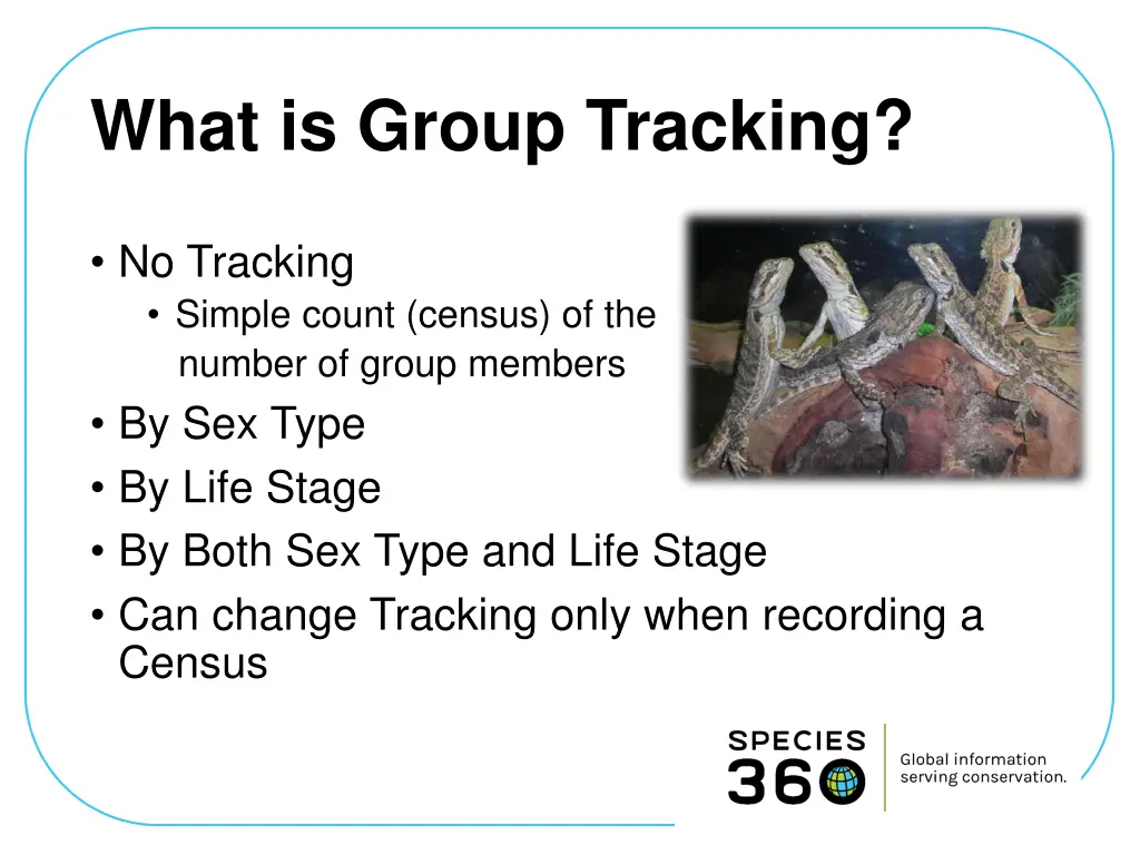 what is group tracking