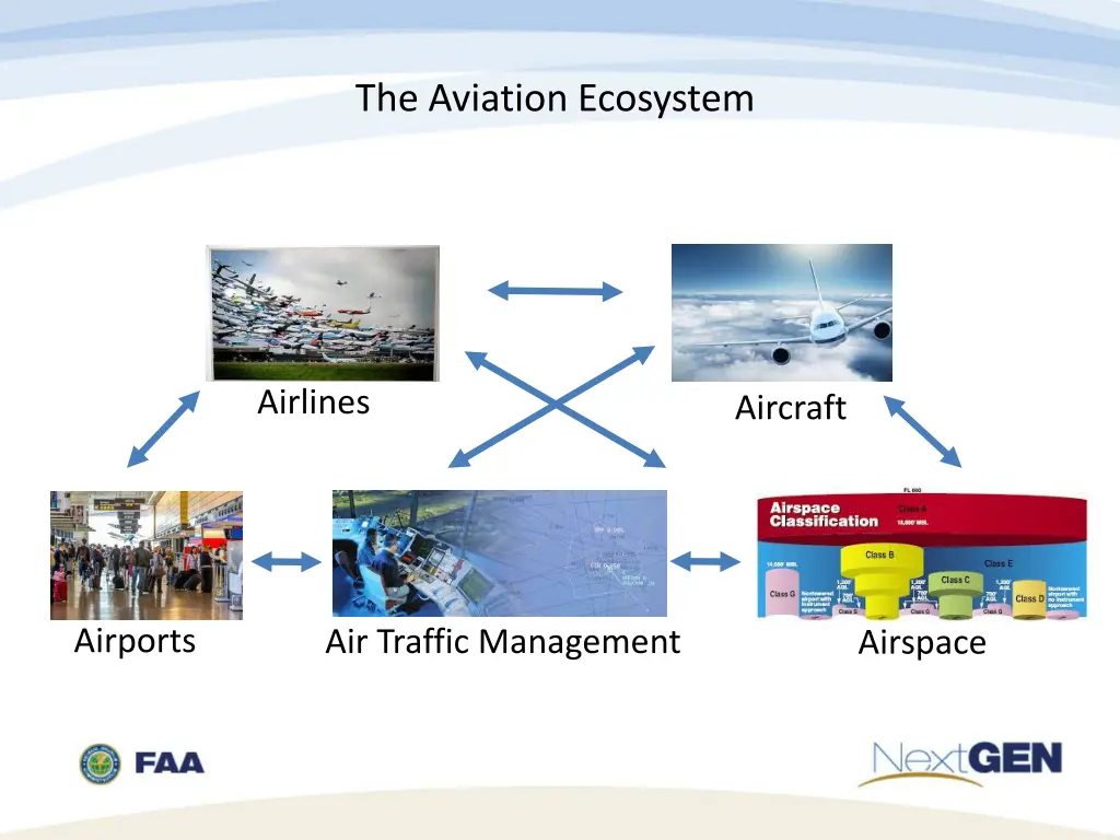 the aviation ecosystem