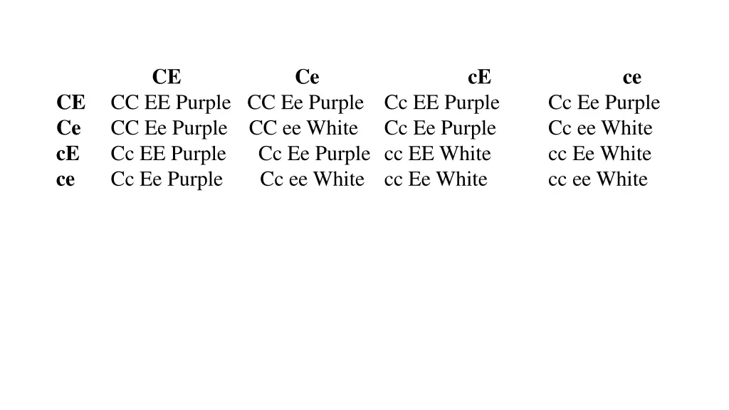 ce ce cc ee purple cc ee purple cc ee purple