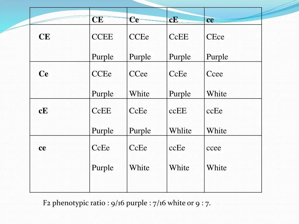 slide13