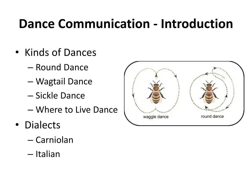 dance communication introduction