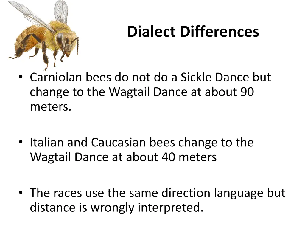 dialect differences