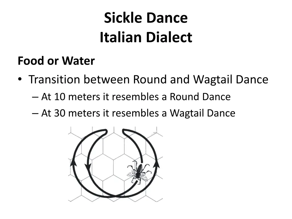 sickle dance italian dialect