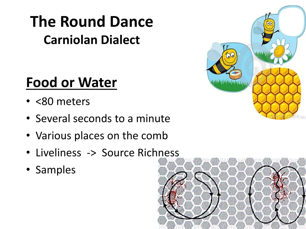 the round dance carniolan dialect