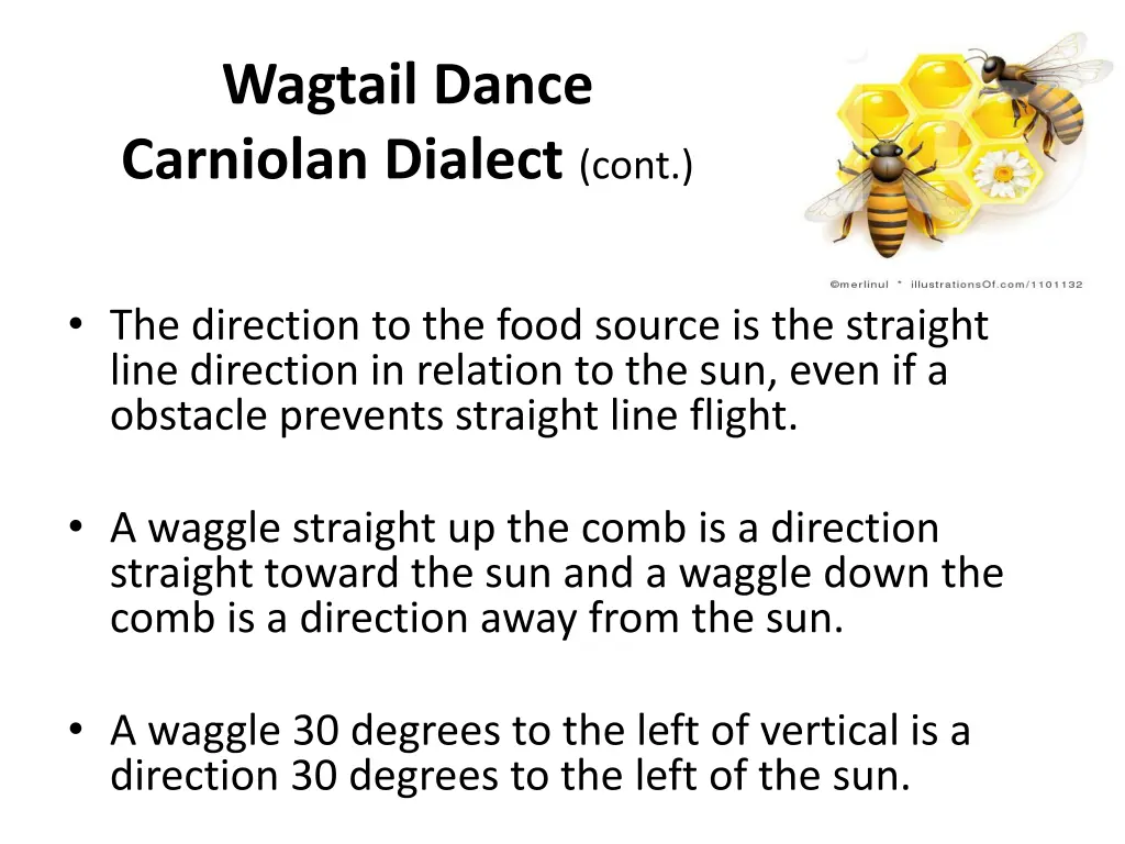 wagtail dance carniolan dialect cont 1