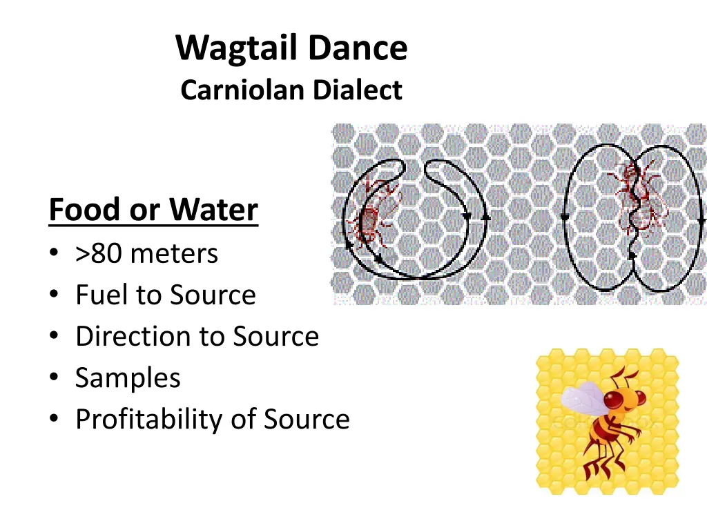 wagtail dance carniolan dialect