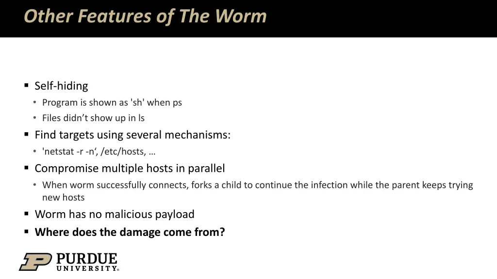 other features of the worm