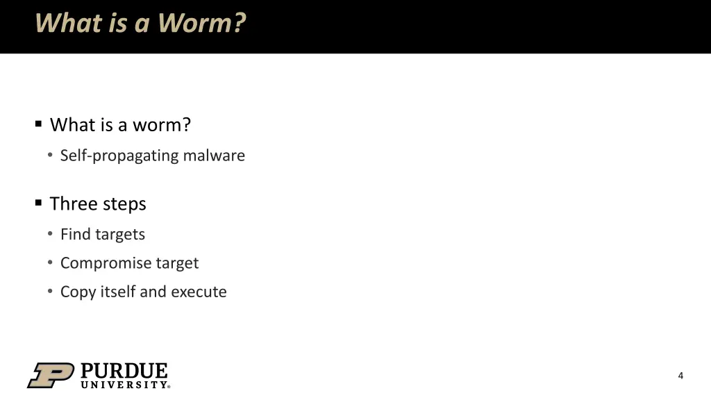 what is a worm