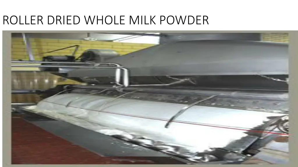 roller dried whole milk powder