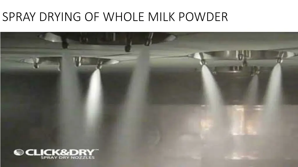 spray drying of whole milk powder