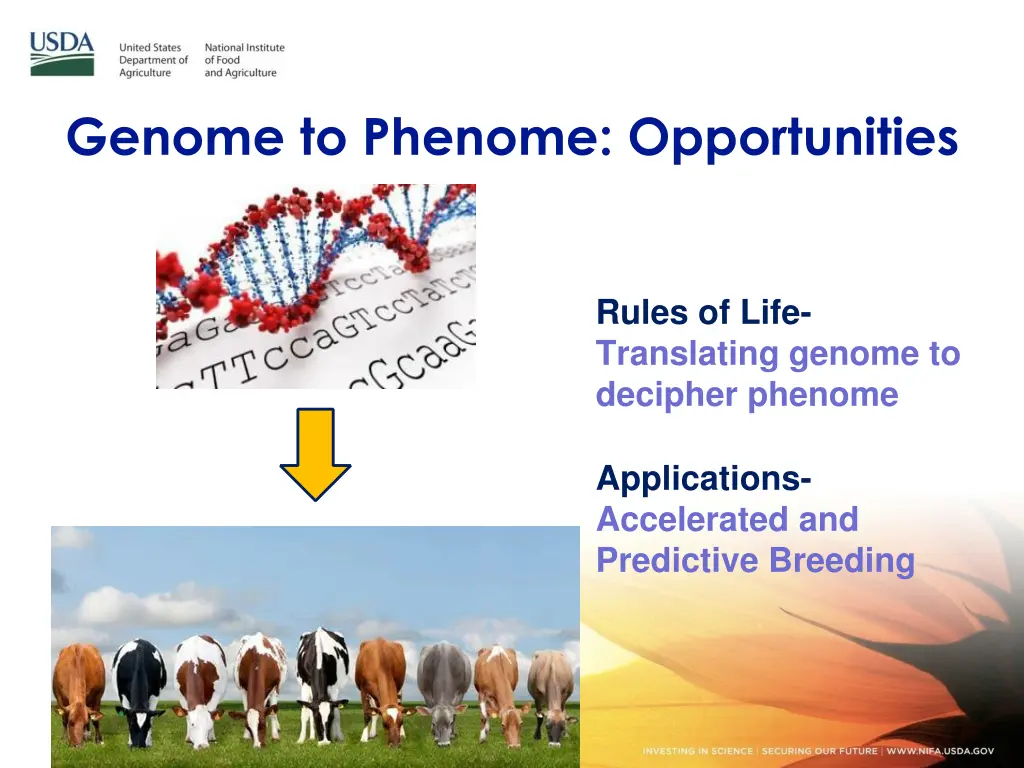 genome to phenome opportunities