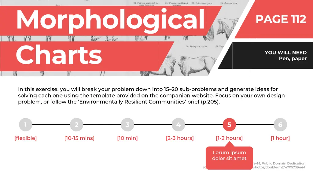 morphological 1