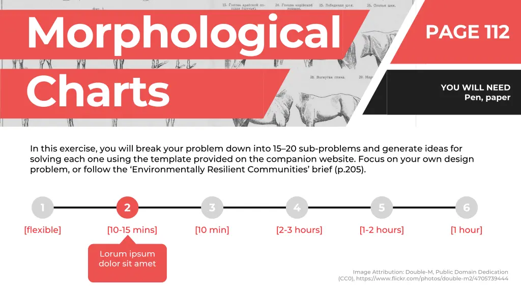 morphological charts 3