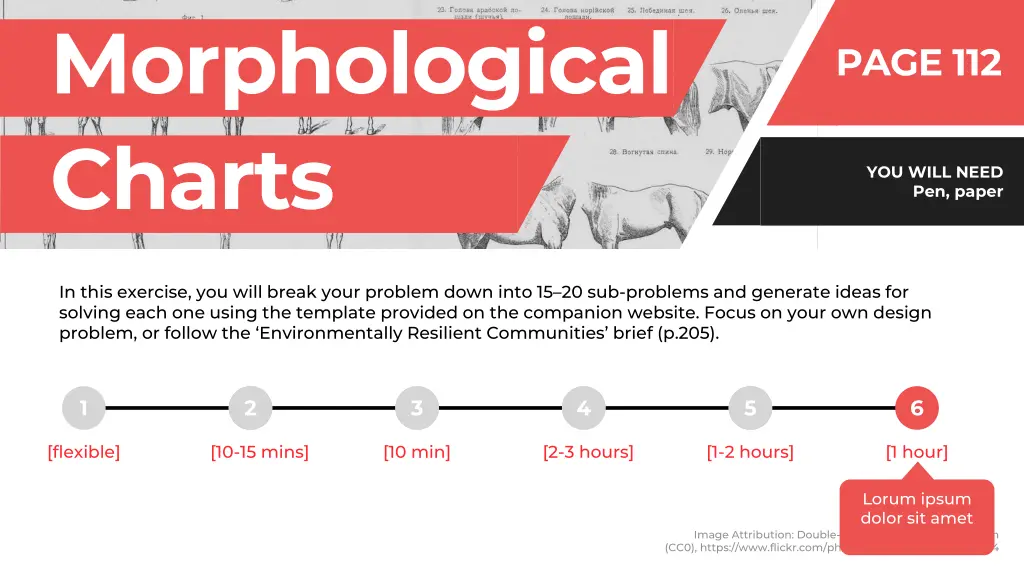 morphological charts 5