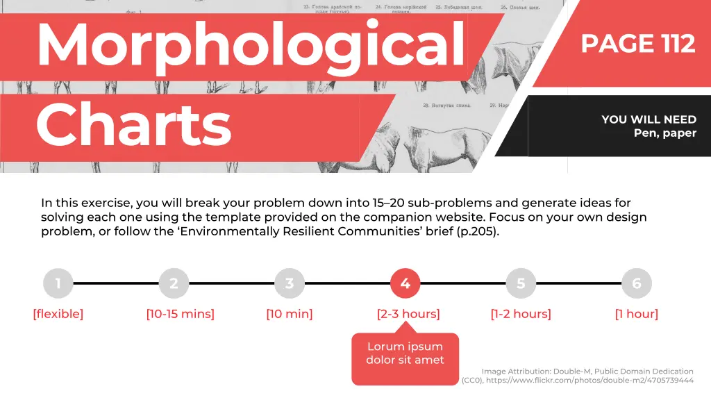 morphological