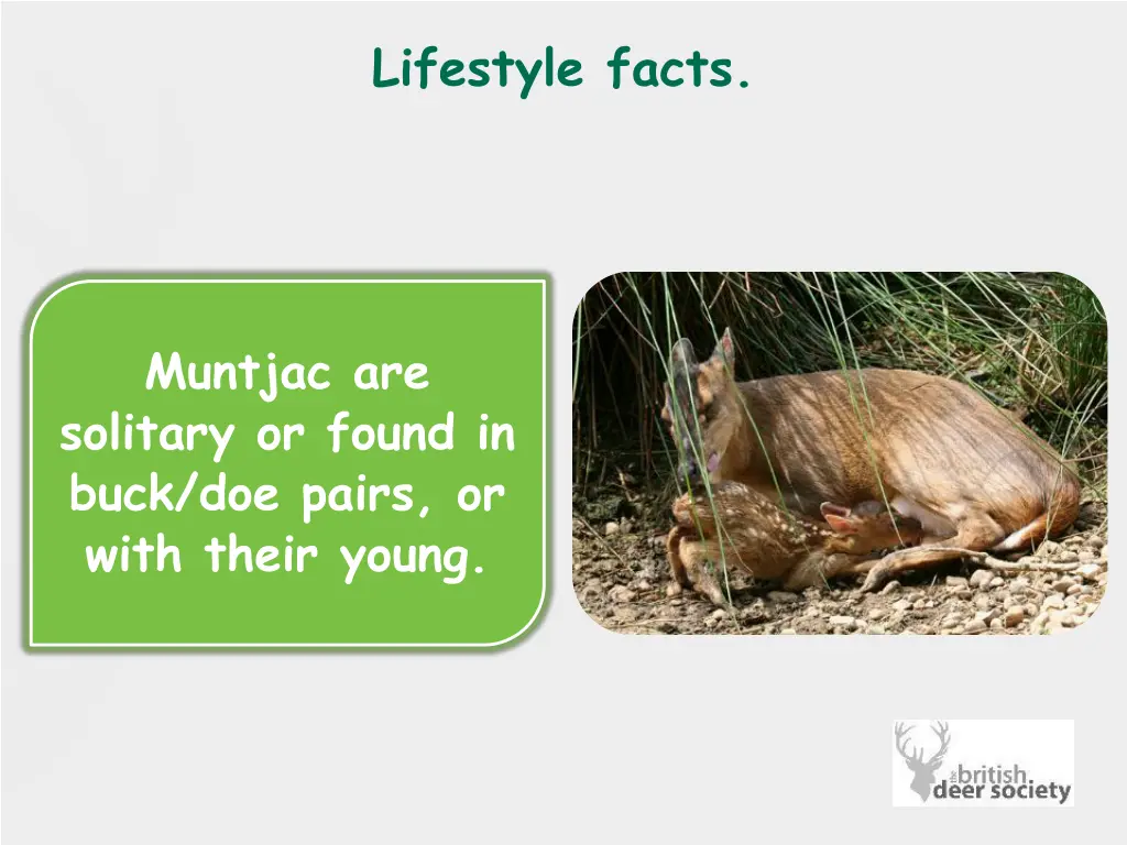 lifestyle facts 1