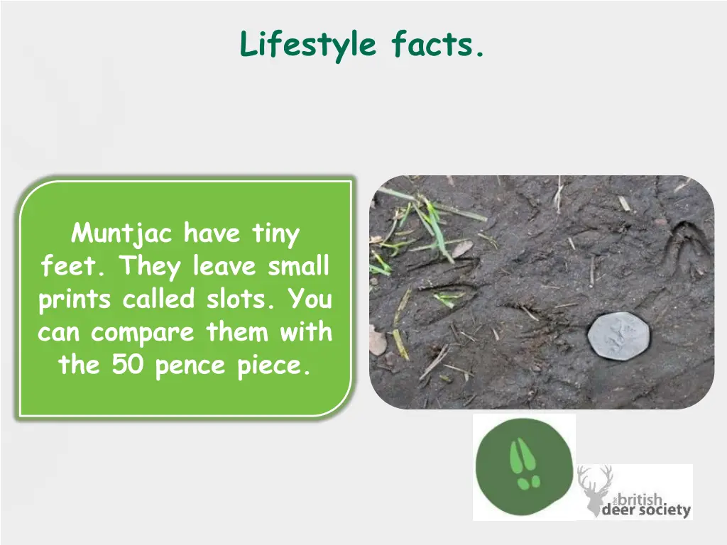 lifestyle facts 2