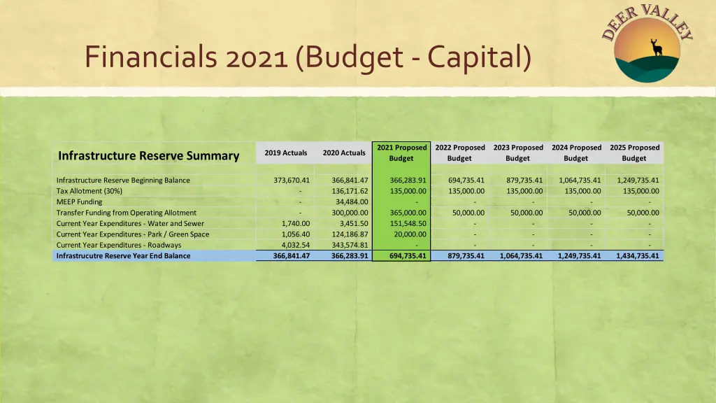 financials 2021 budget capital