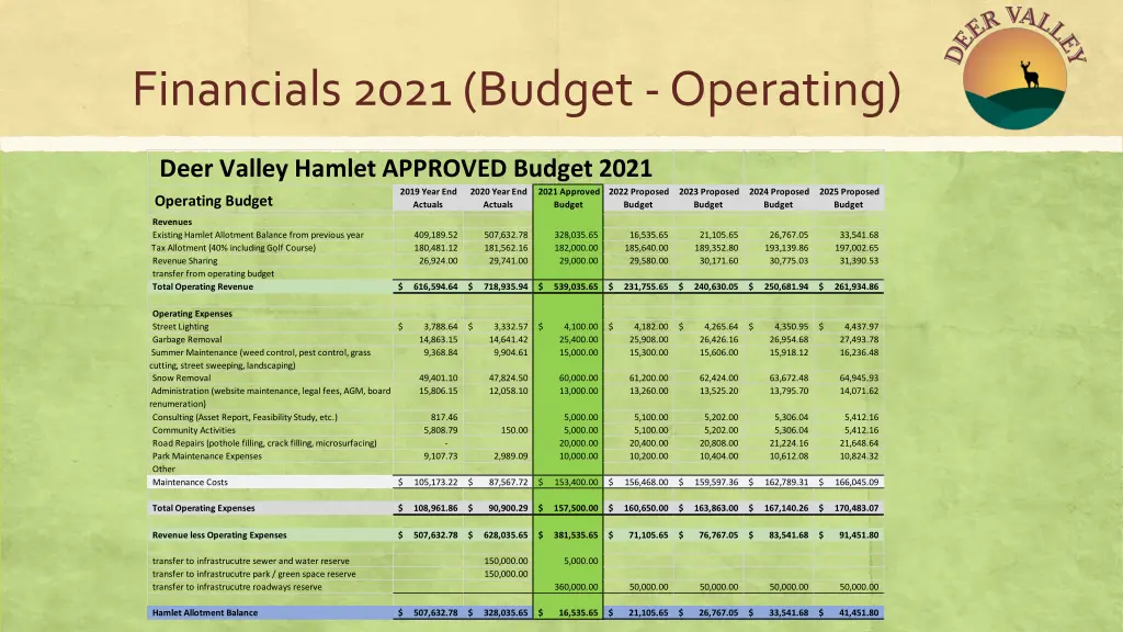 financials 2021 budget operating