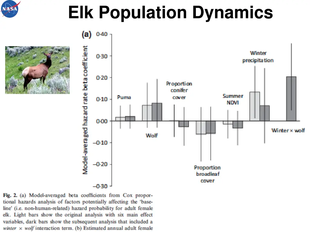 elk population dynamics 2