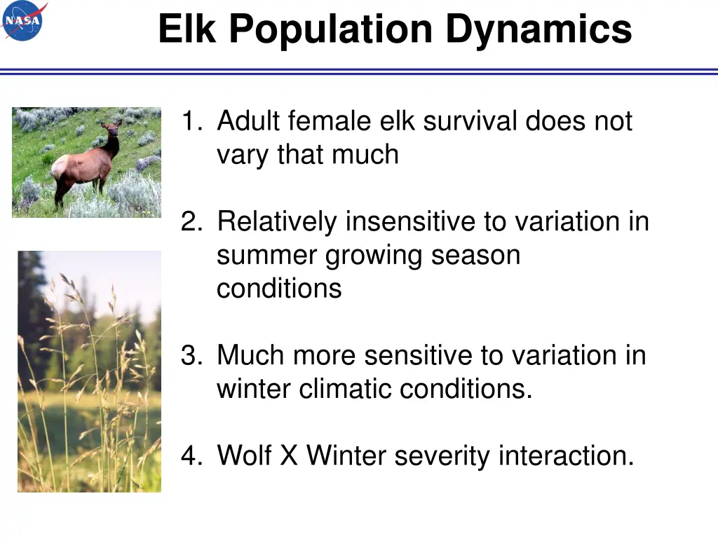 elk population dynamics 3