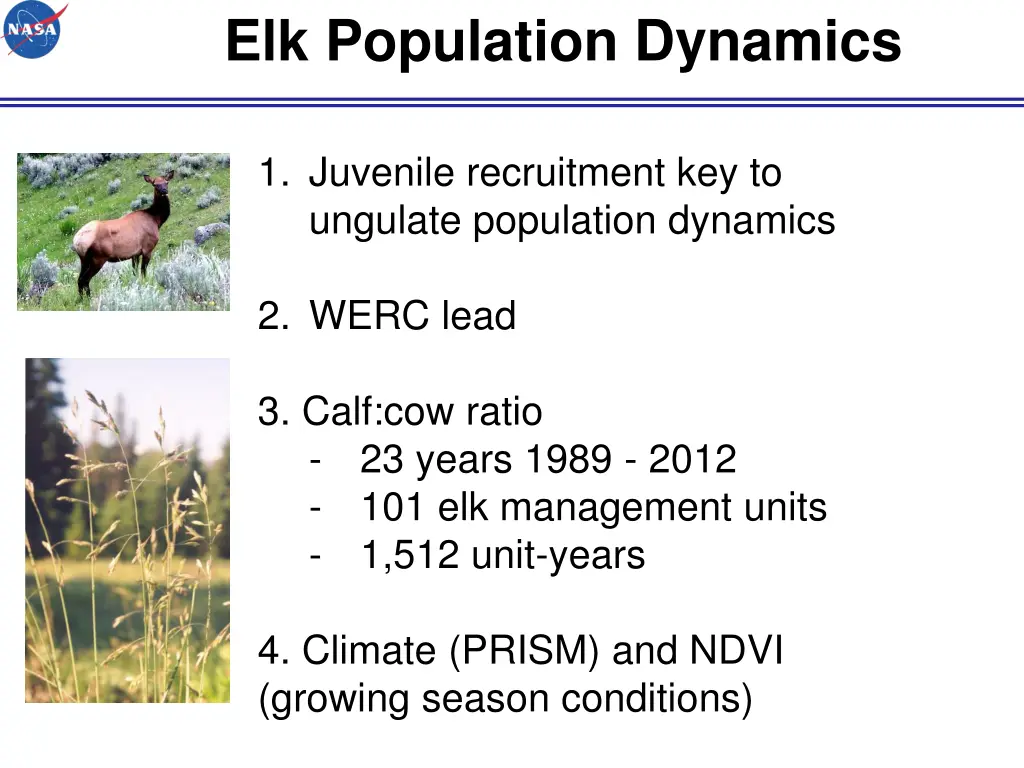 elk population dynamics 4