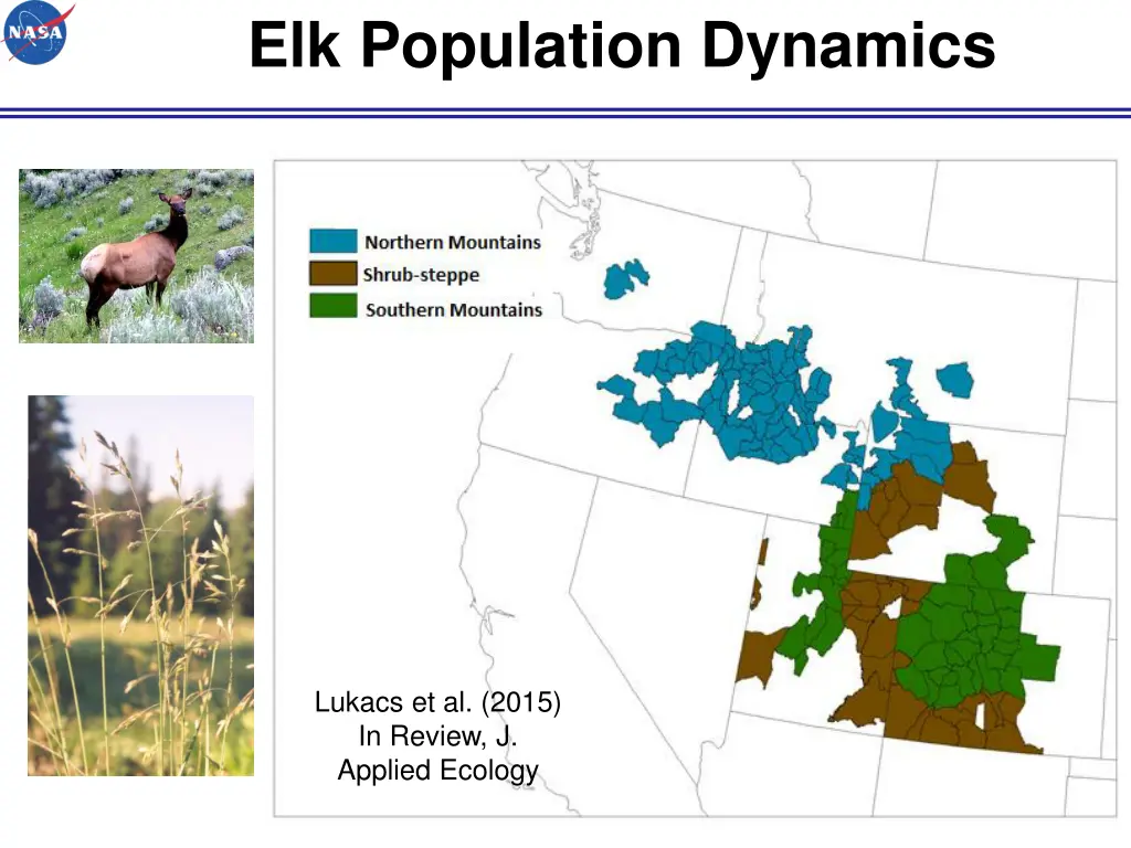 elk population dynamics 5