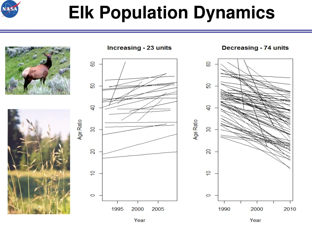 elk population dynamics 6