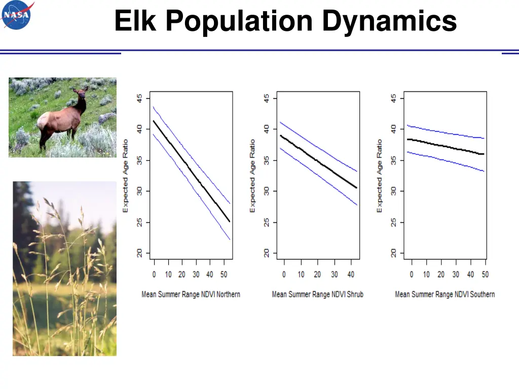 elk population dynamics 7