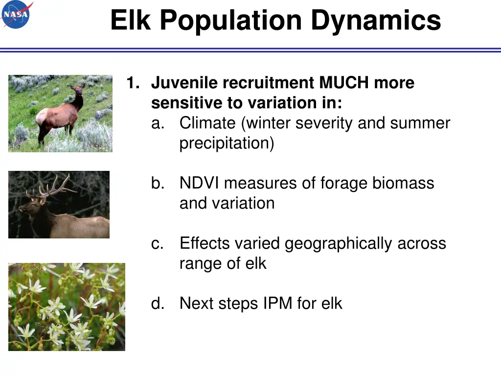 elk population dynamics 8