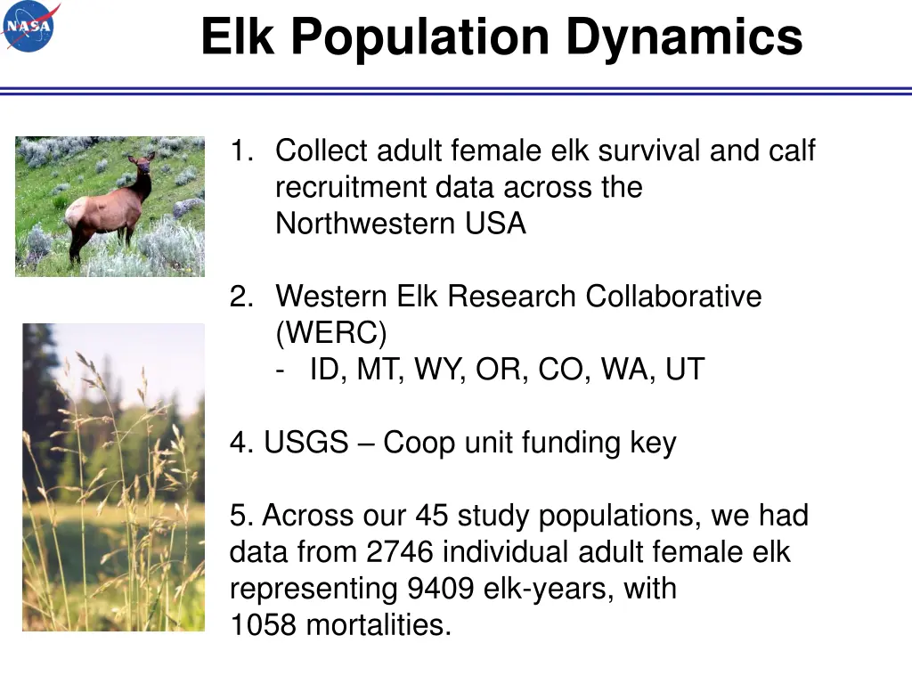 elk population dynamics