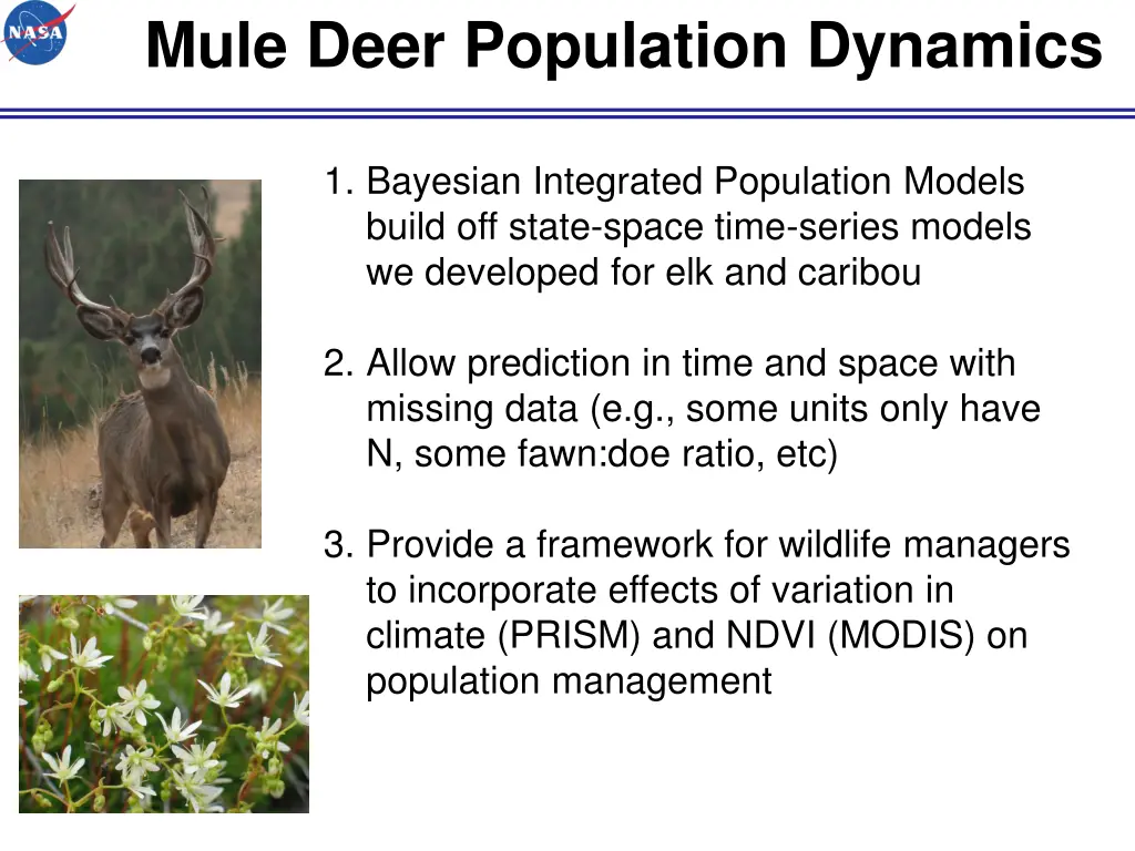 mule deer population dynamics 4