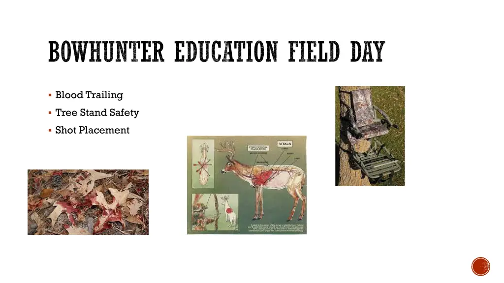 bowhunter education field day