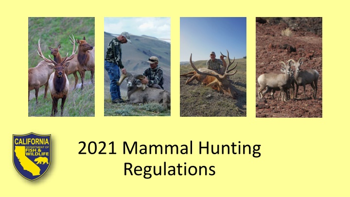 2021 mammal hunting regulations