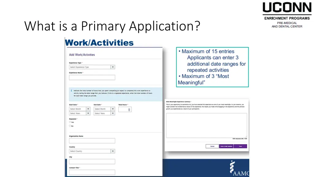 what is a primary application 1