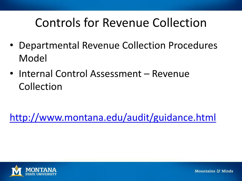 controls for revenue collection