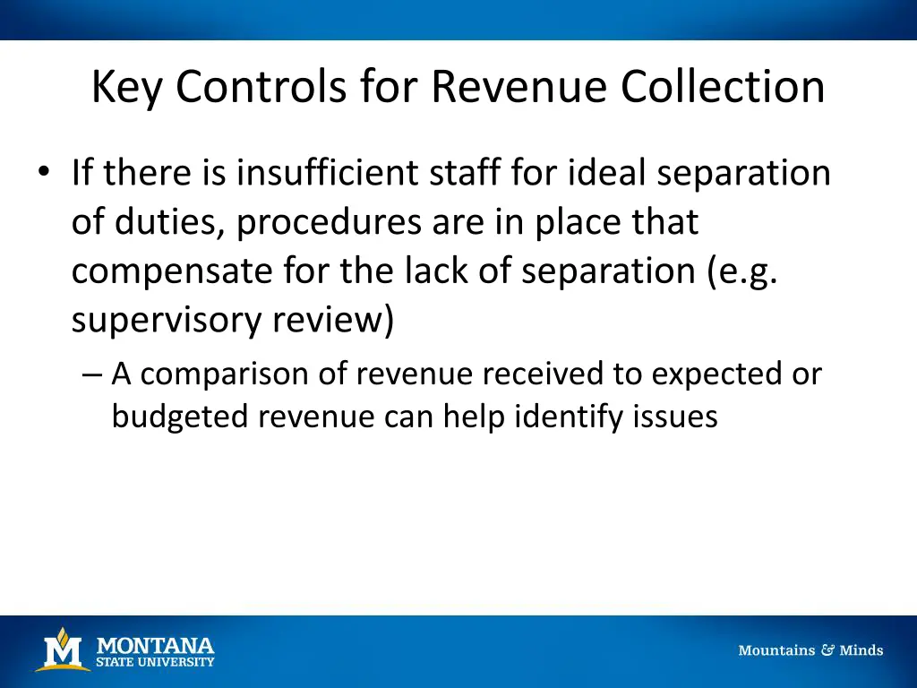 key controls for revenue collection