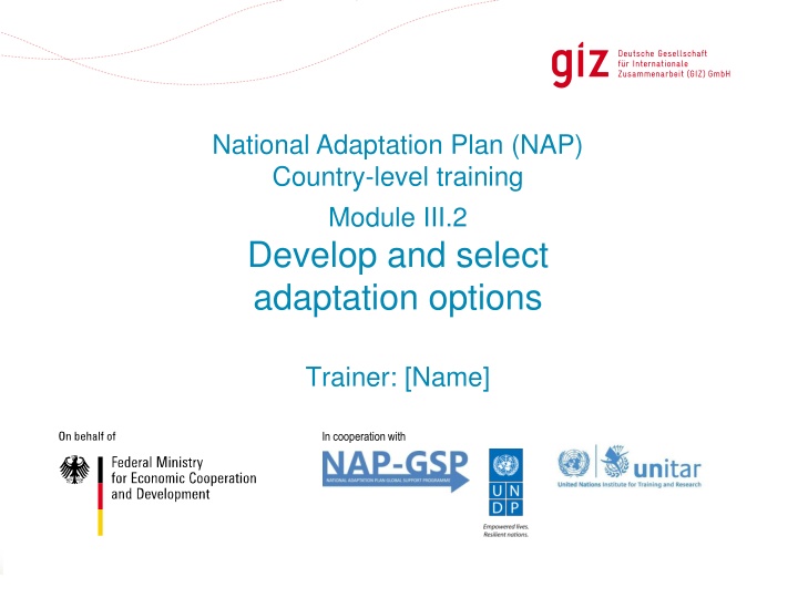 national adaptation plan nap country level