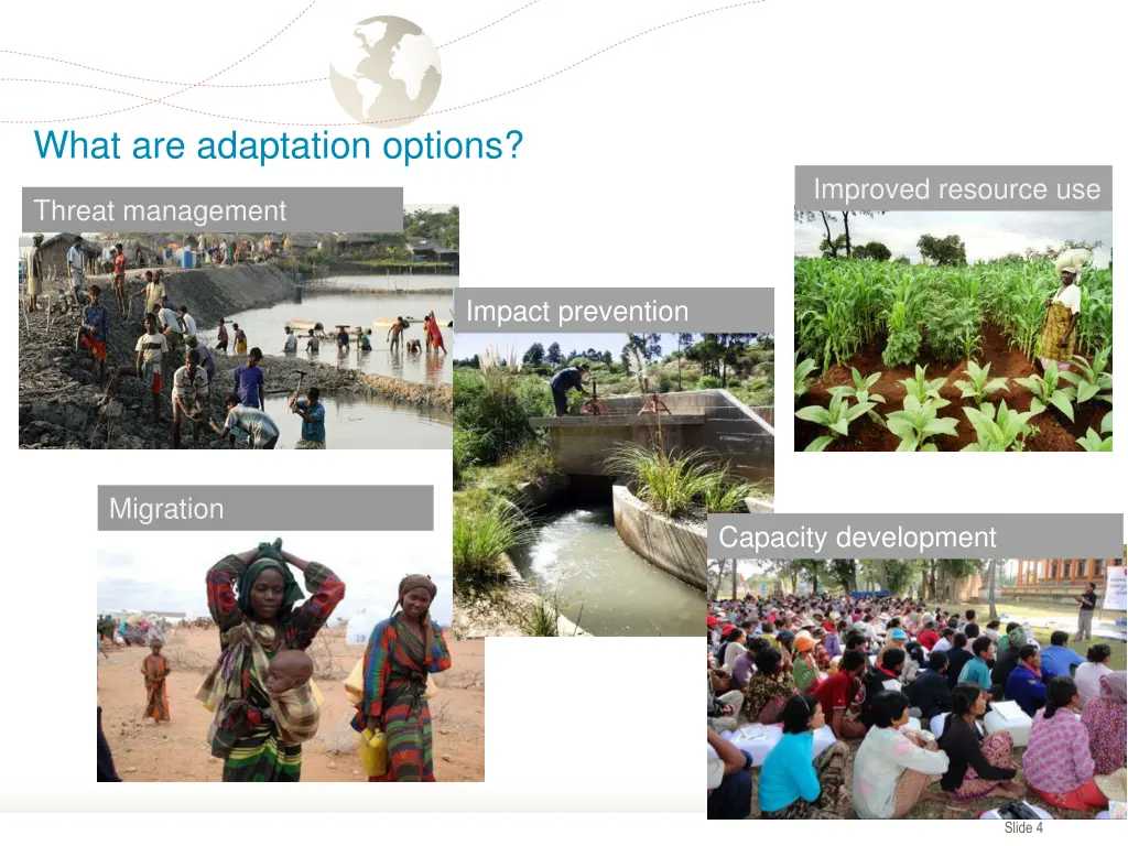 what are adaptation options