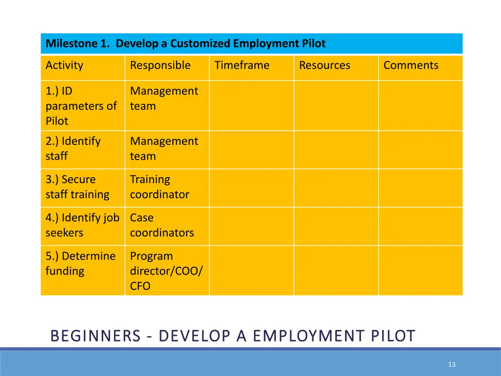 milestone 1 develop a customized employment pilot