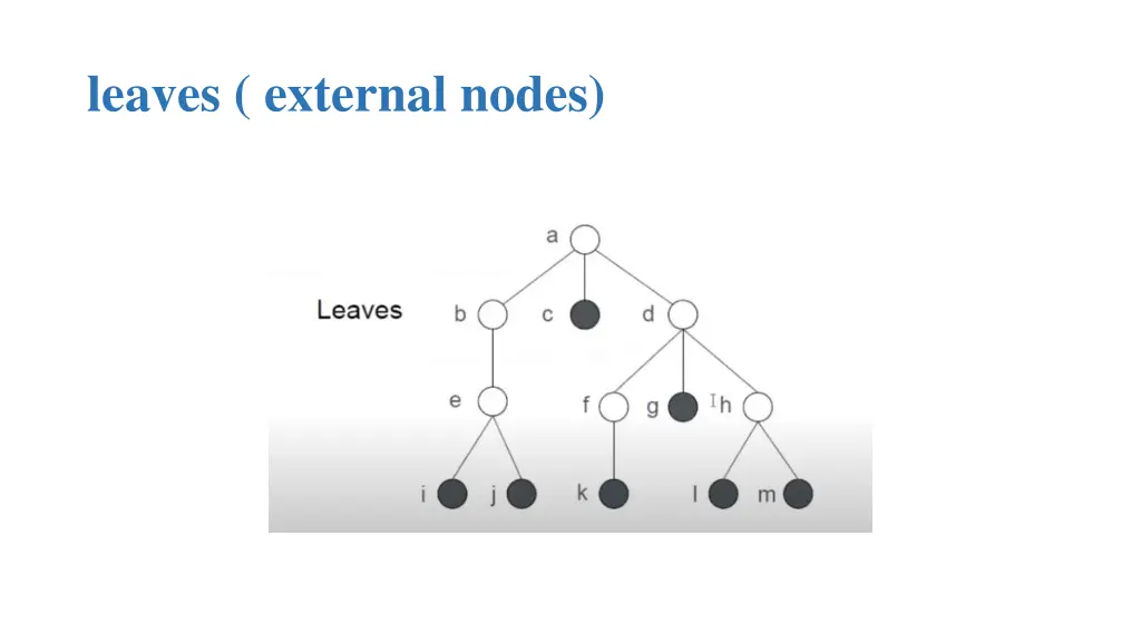 leaves external nodes