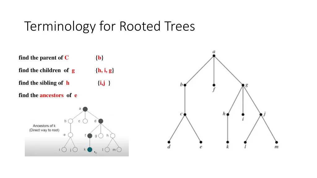 terminology for rooted trees 5