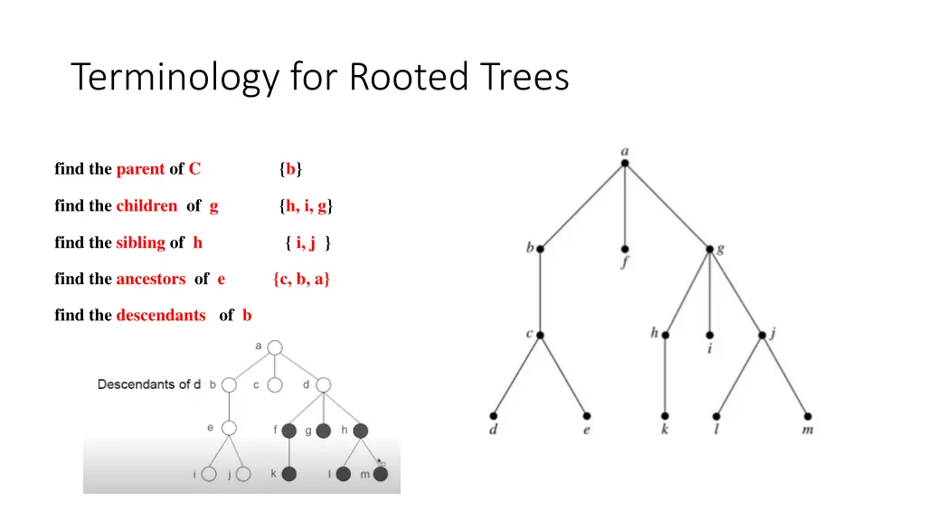 terminology for rooted trees 7