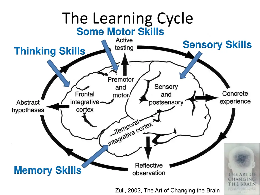 the learning cycle some motor skills