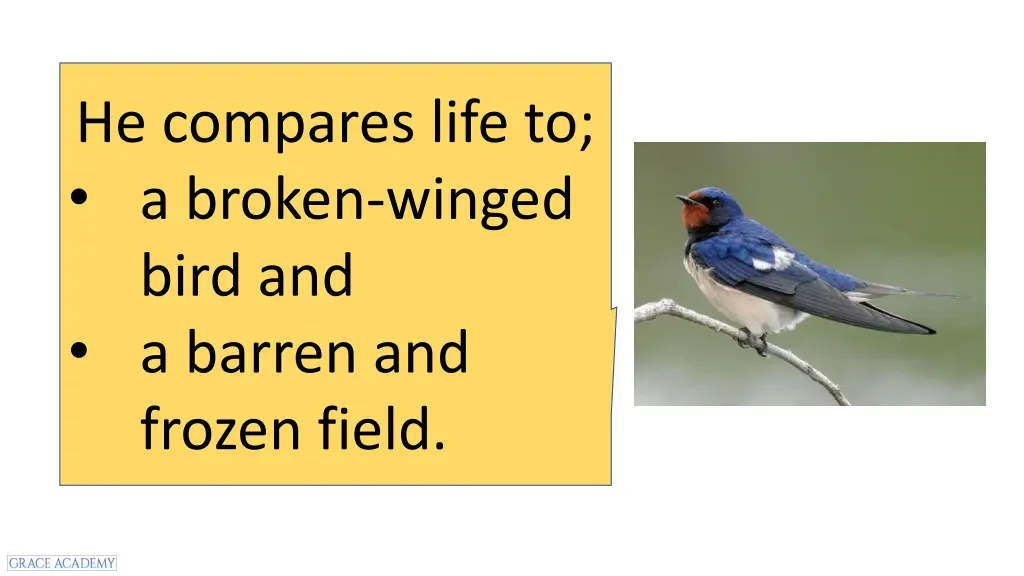 he compares life to a broken winged bird