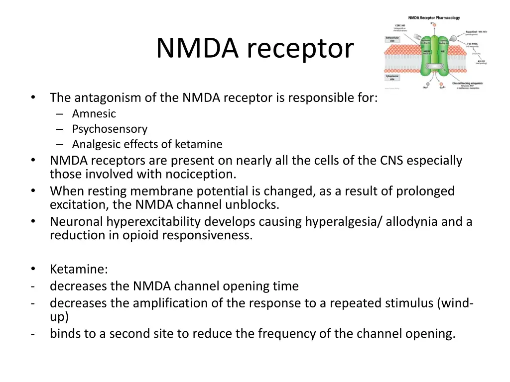 nmda receptor