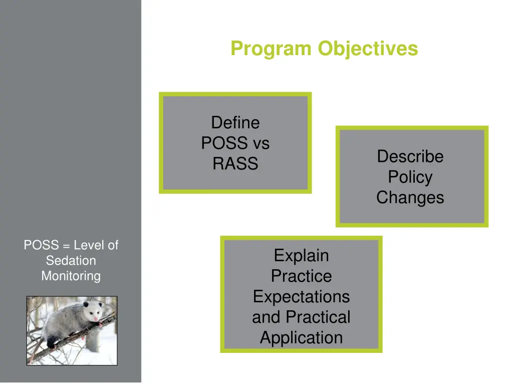 program objectives