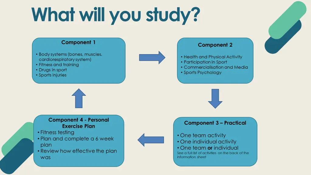 what will you study